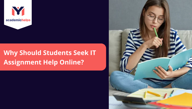 IT Assignment Help Online