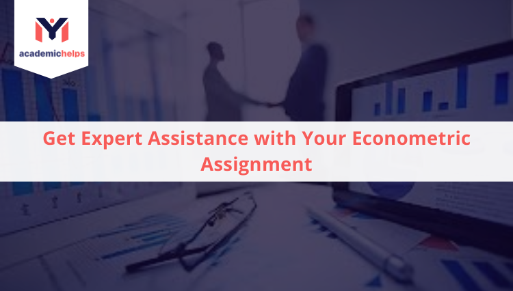 Get Expert Assistance with Your Econometric Assignment