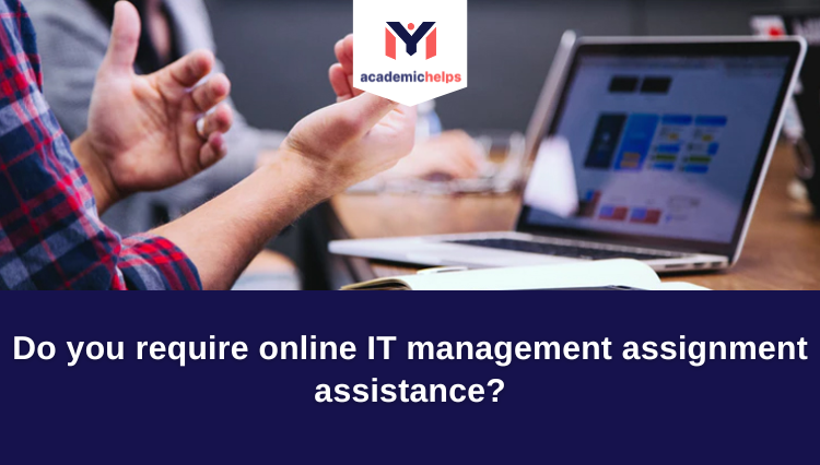 IT management assignment assistance