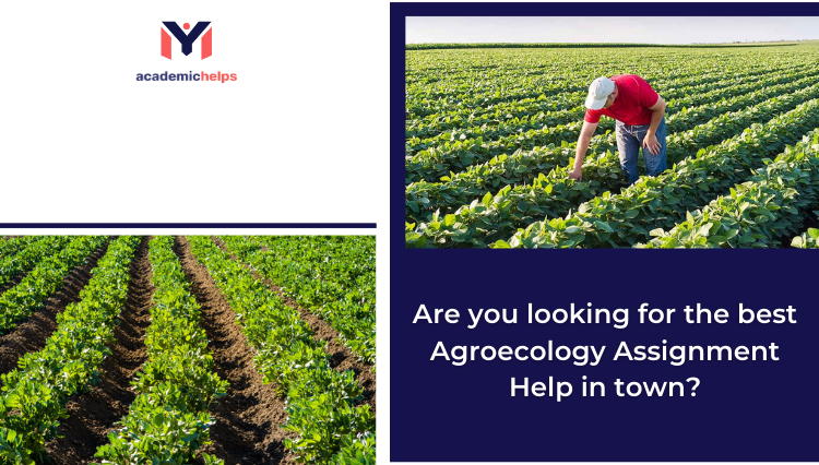 best Agroecology Assignment Help