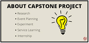 Capstone Project Assignment